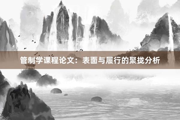 管制学课程论文：表面与履行的聚拢分析