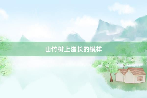 山竹树上滋长的模样