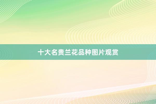 十大名贵兰花品种图片观赏