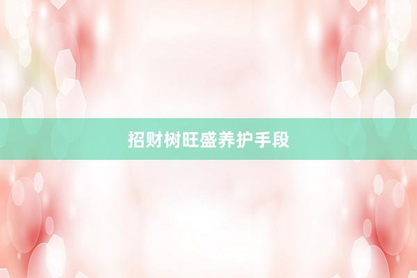 招财树旺盛养护手段