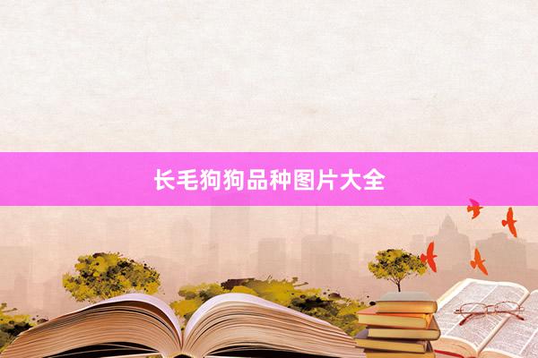 长毛狗狗品种图片大全