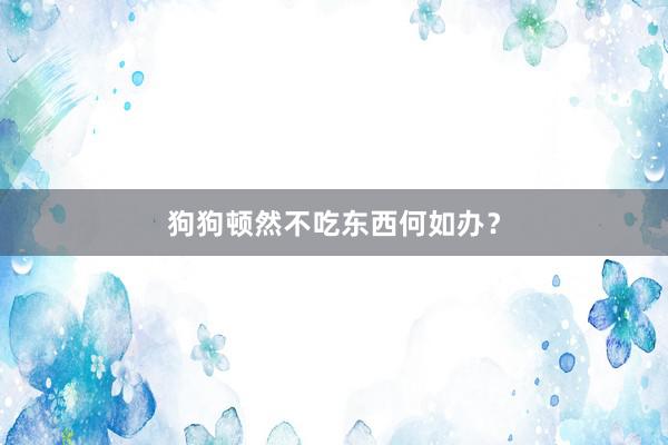 狗狗顿然不吃东西何如办？