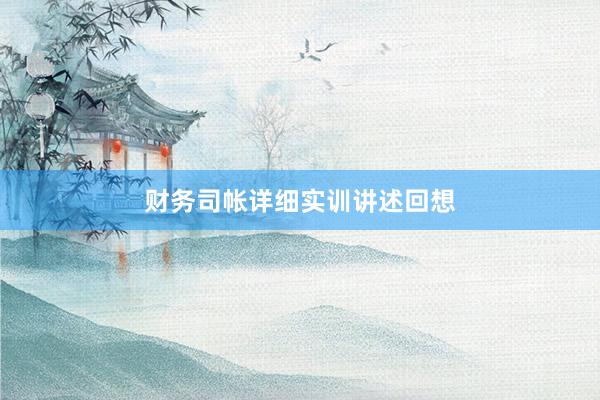 财务司帐详细实训讲述回想