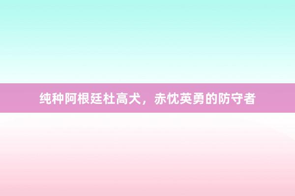 纯种阿根廷杜高犬，赤忱英勇的防守者